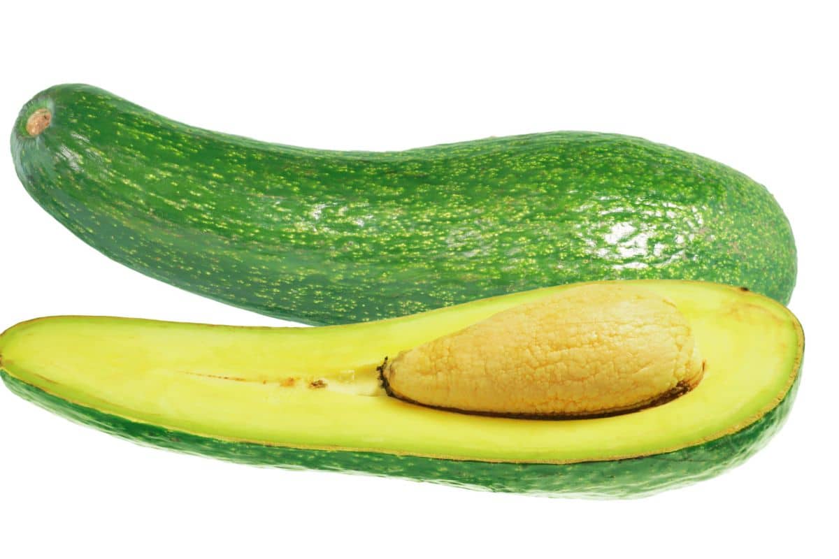 A long neck avocado on a white background.