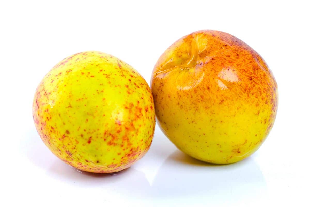 Two mangaba fruits on a white background.