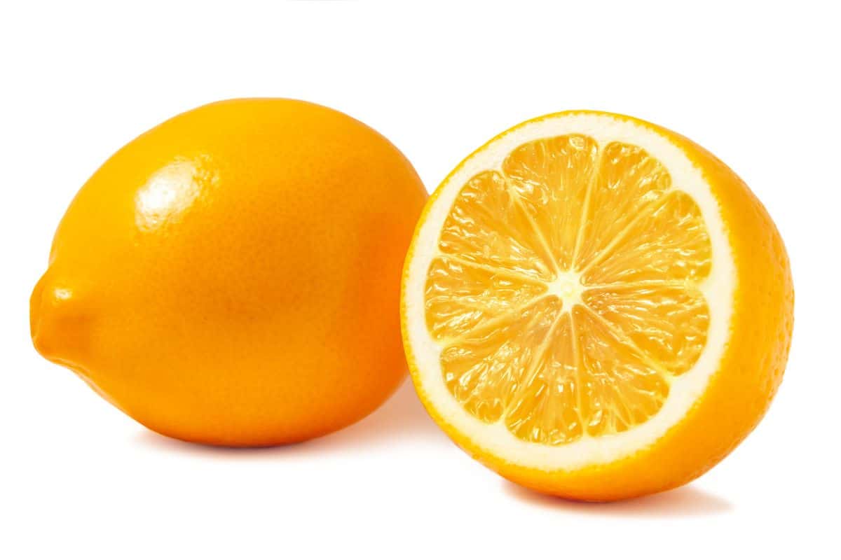 Two meyer lemons on a white background.