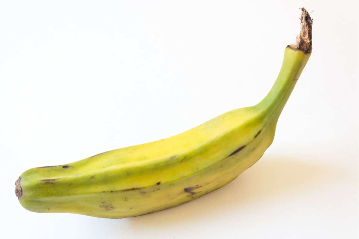 A orinoco banana on a white background.