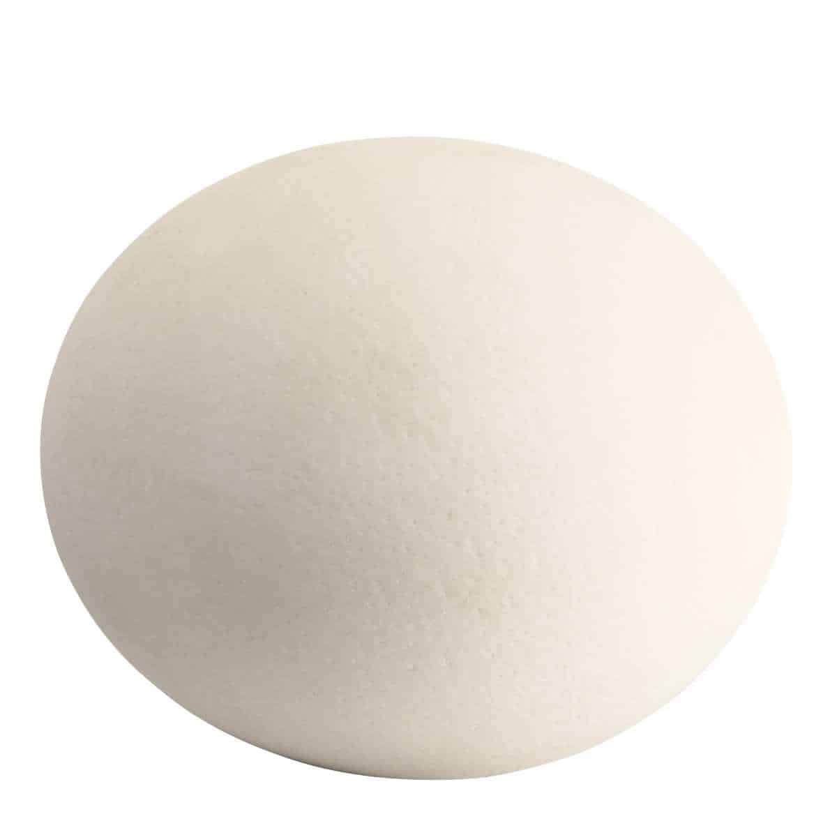 An ostrich egg on a white background.