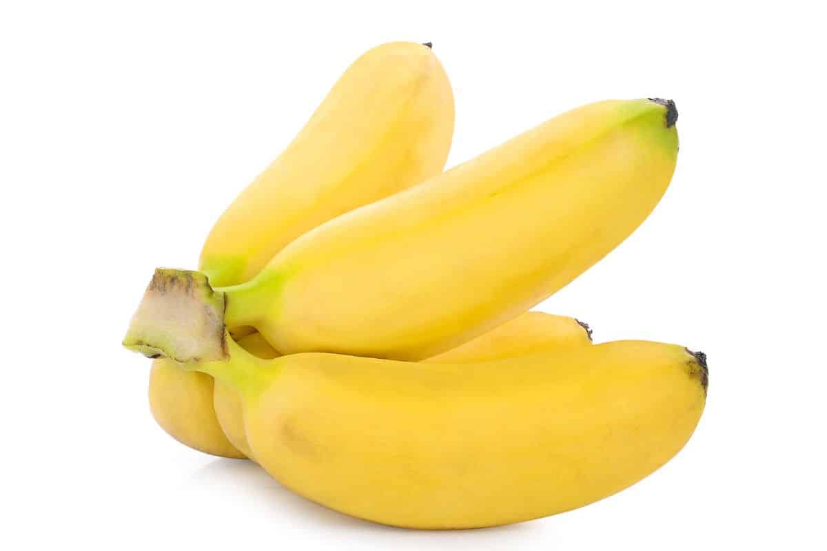 A bunch of pisang mas bananas on a white background.