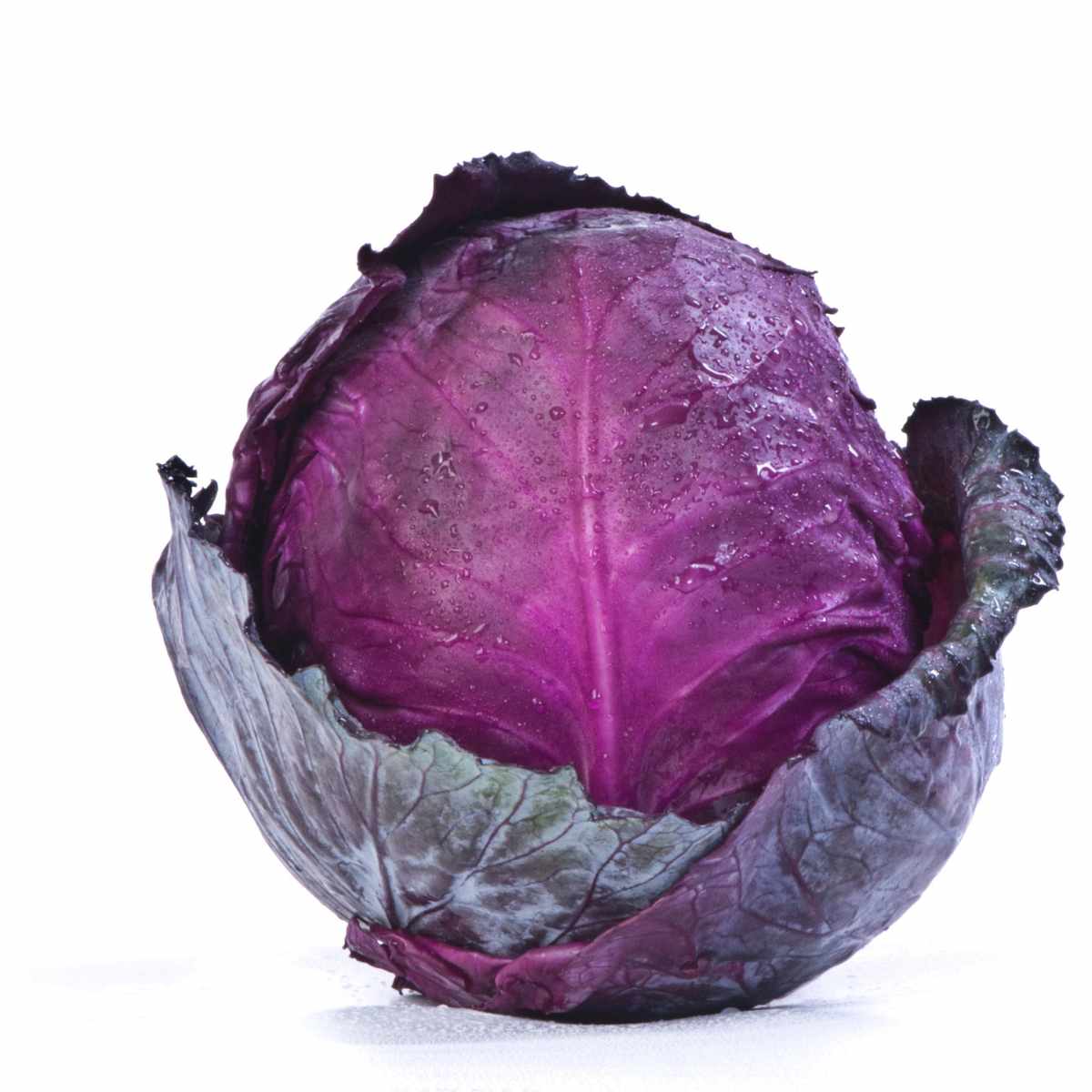 Ruby ball cabbage on a white background.
