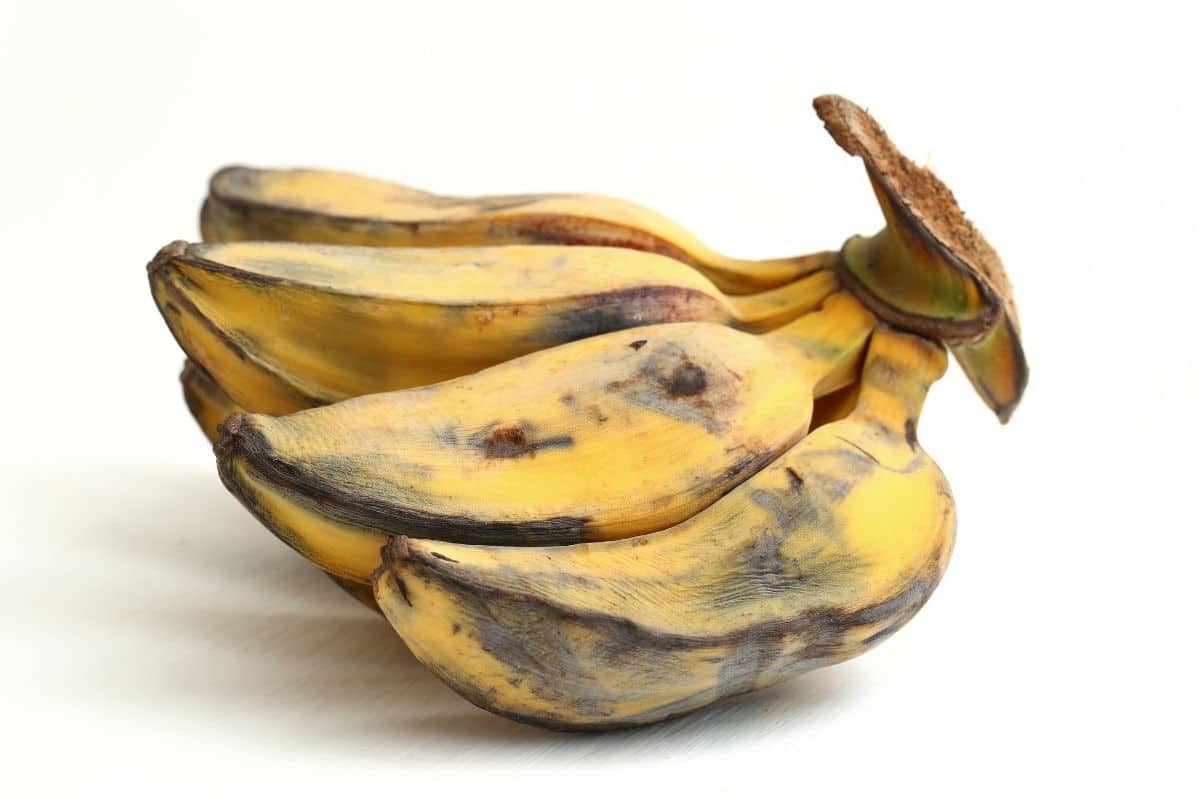 A saba banana bunch on a white background.