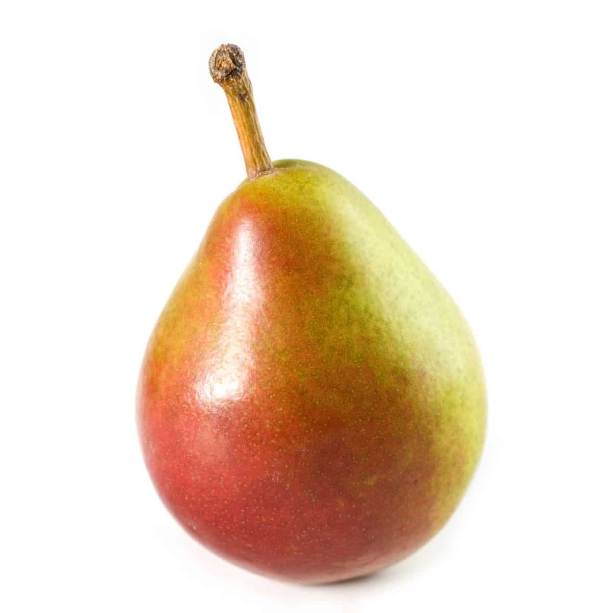 Seckel pear on a white background.