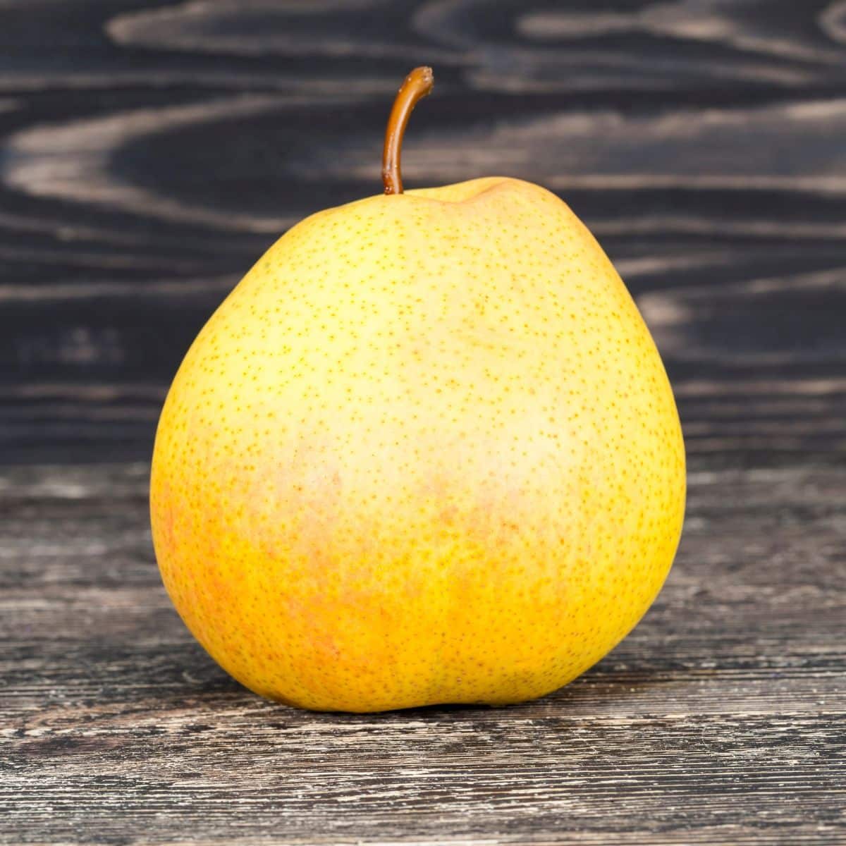 Singo pear on a wood background.