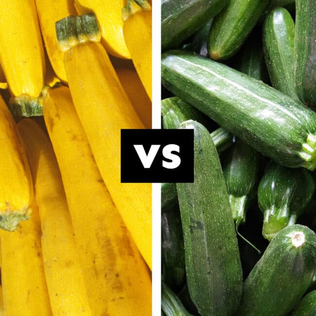 Collage with squash vs. zucchini.