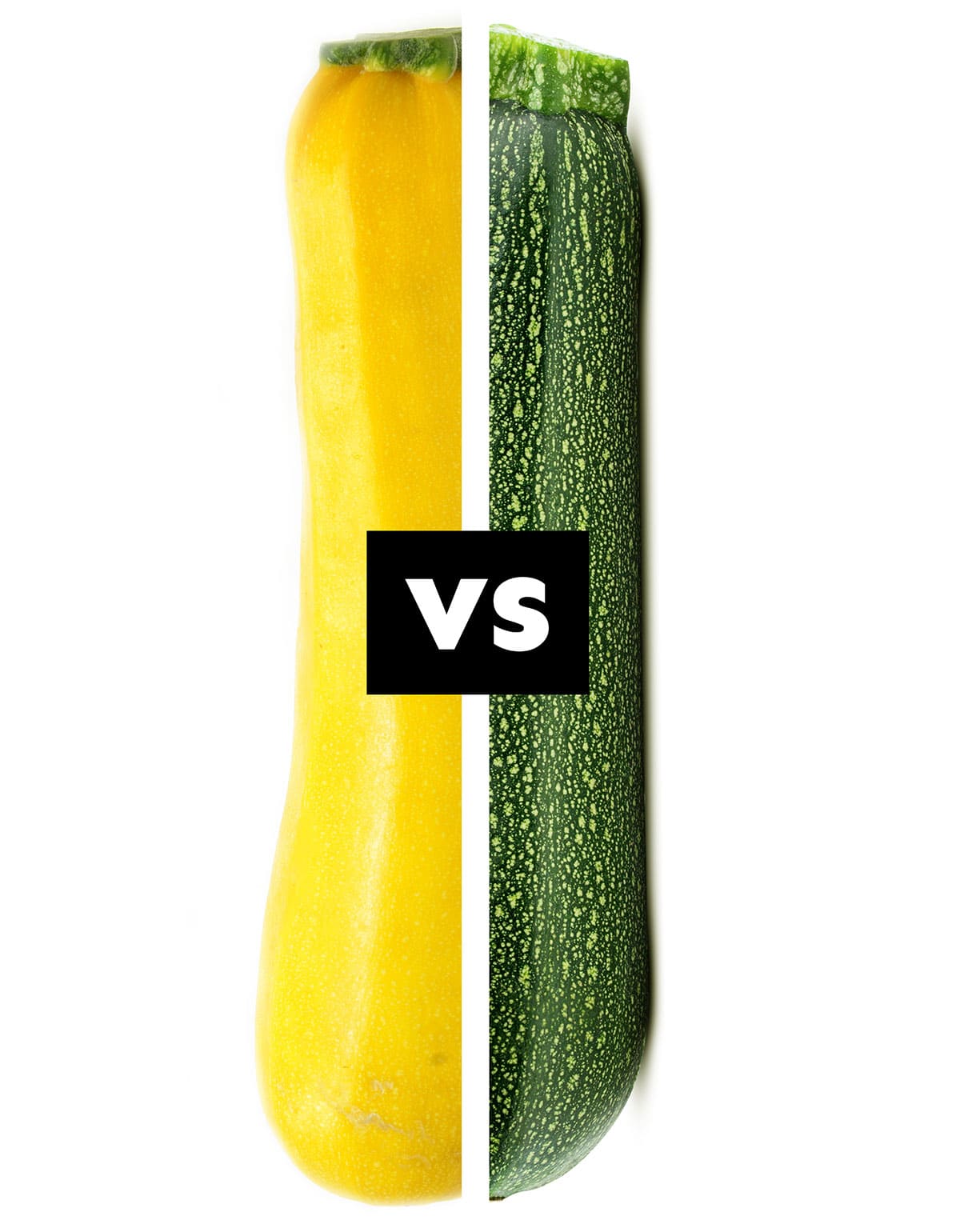 Collage with squash vs. zucchini.
