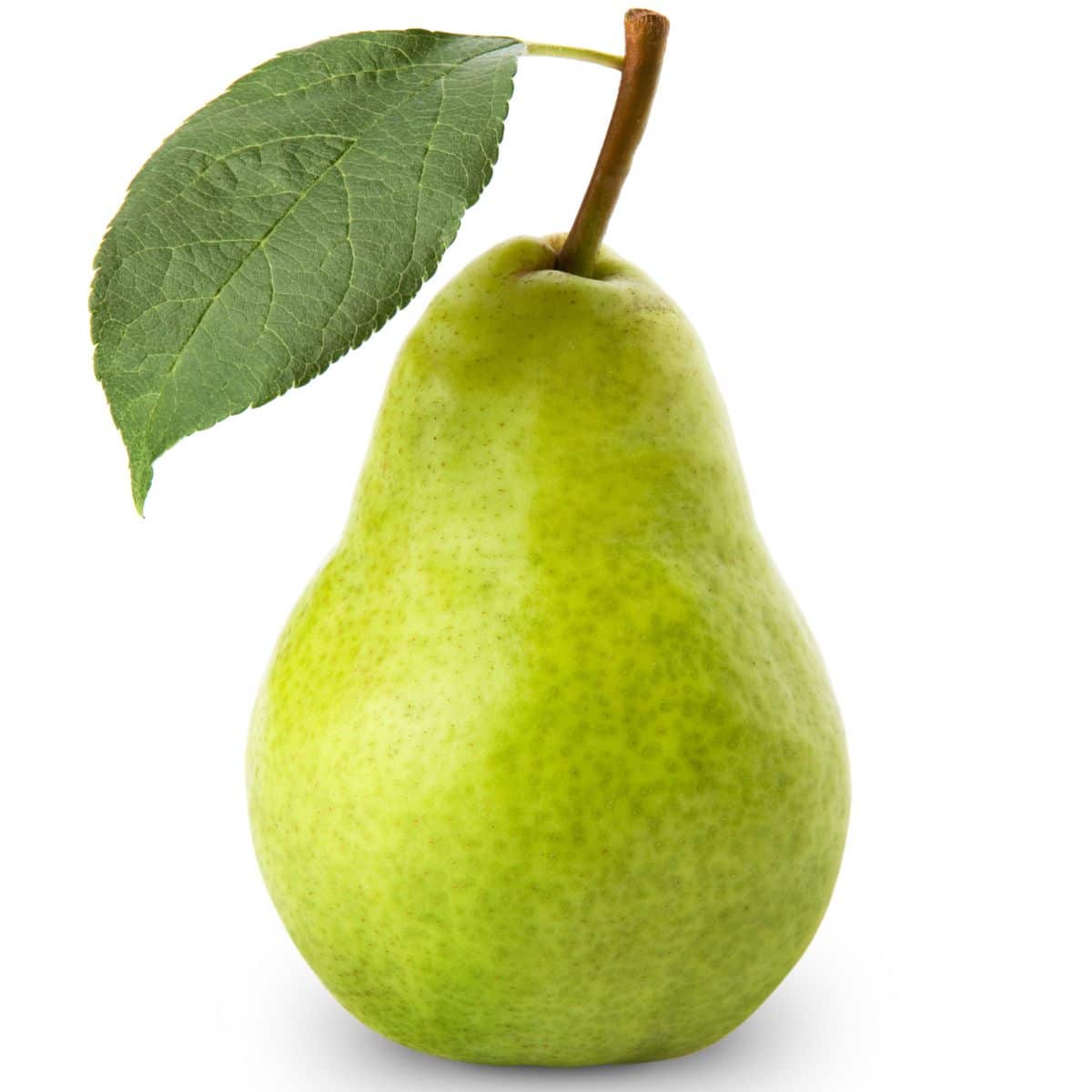 Tosca pear on a white background.
