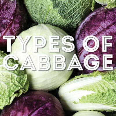 Collage that says "types of cabbage".