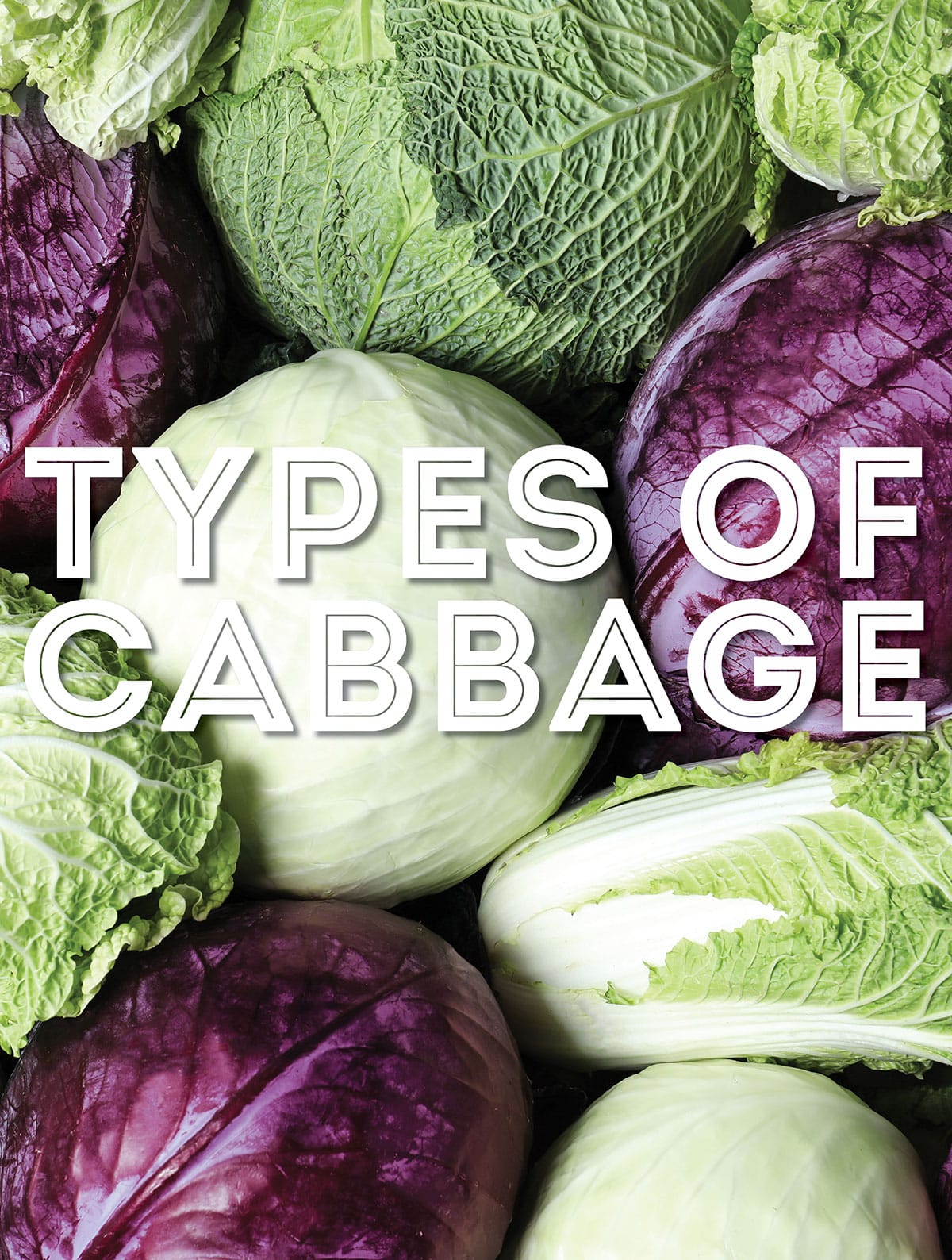 Collage that says "types of cabbage".
