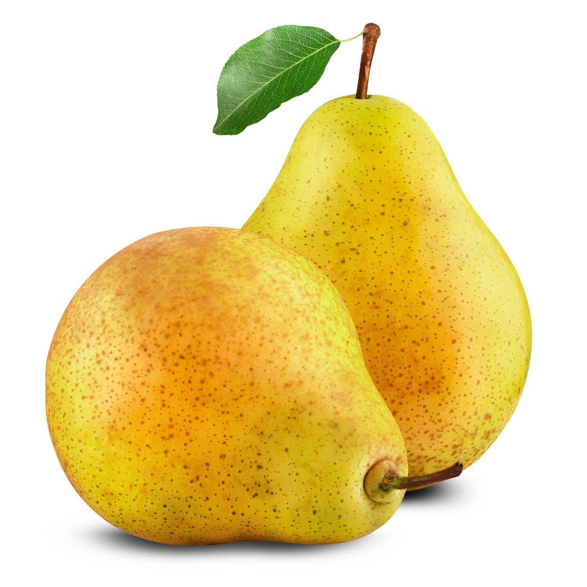 Two Williams pears on a white background.