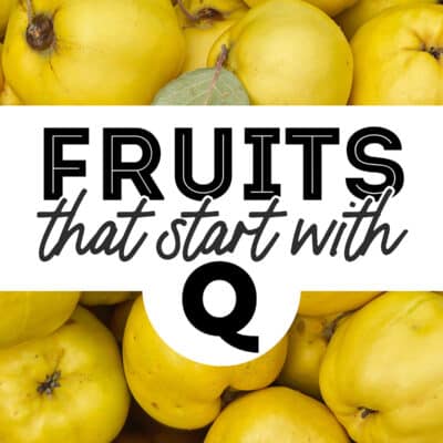Collage that says "fruits that start with Q".