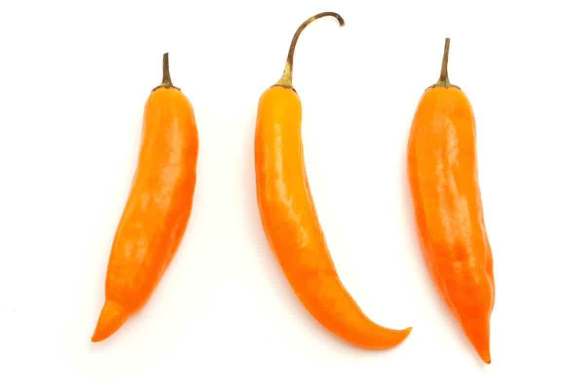 Amarillo peppers on a white backround.