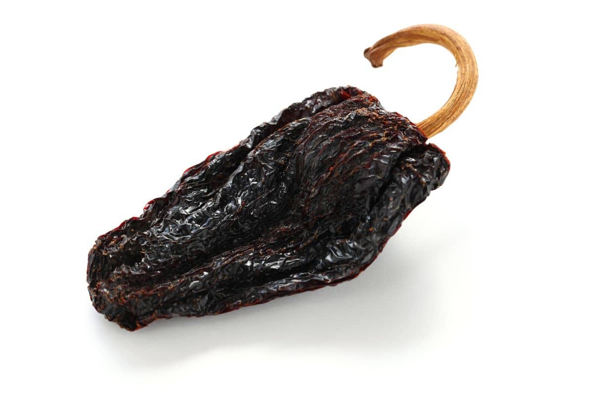 Ancho chile pepper on a hite background.