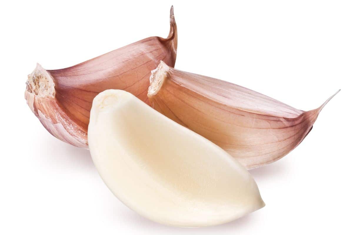 Armenian garlic cloves on an isolated white background.