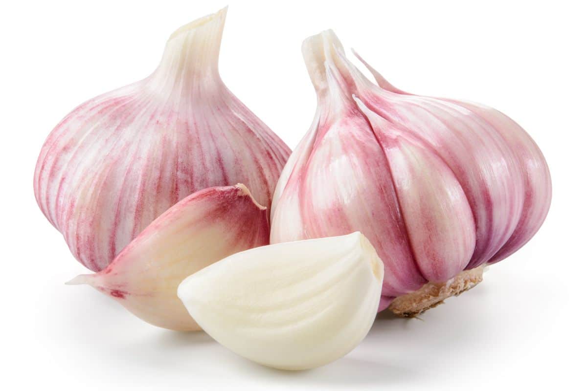 Belarus garlic on an isolated white background.