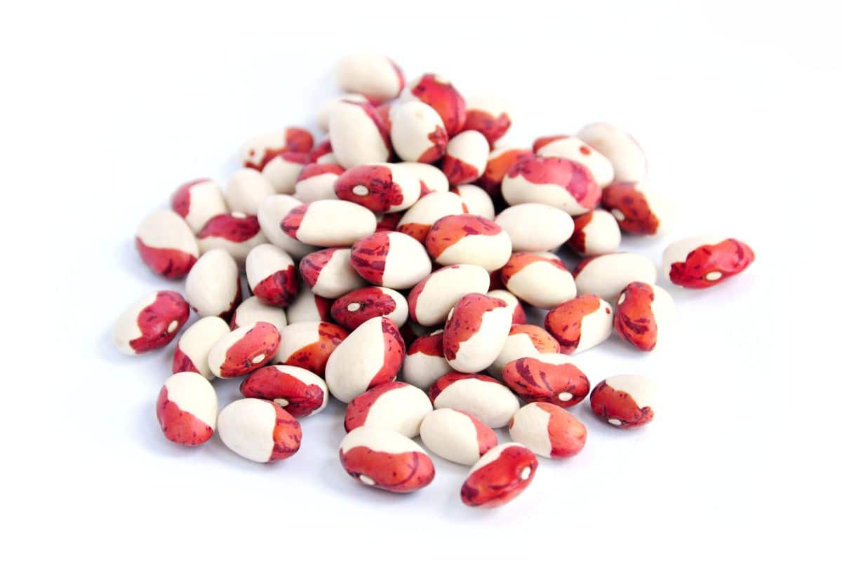Calypso beans on a white background.