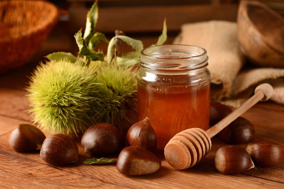 Chestnut honey on a table with chestnuts.