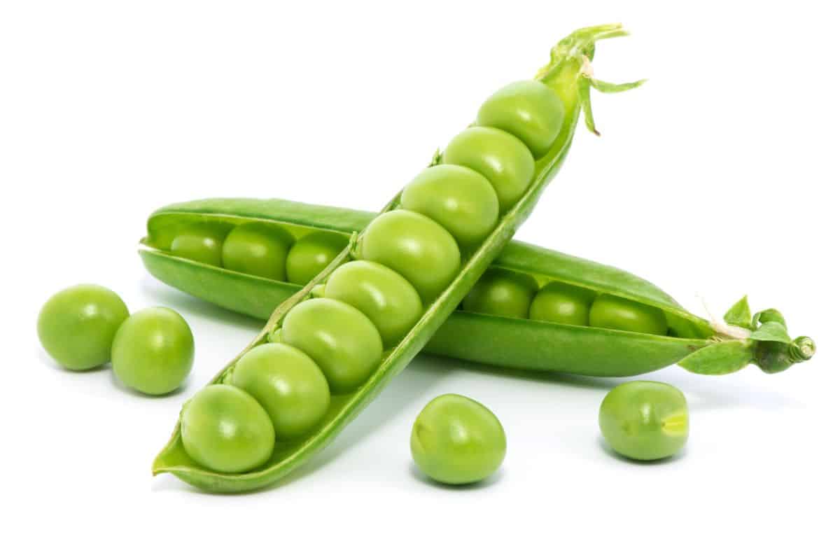 Green peas on a white background.