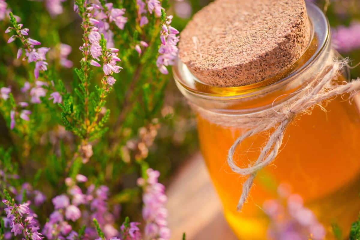 A jar of heather honey next to heather flowers.