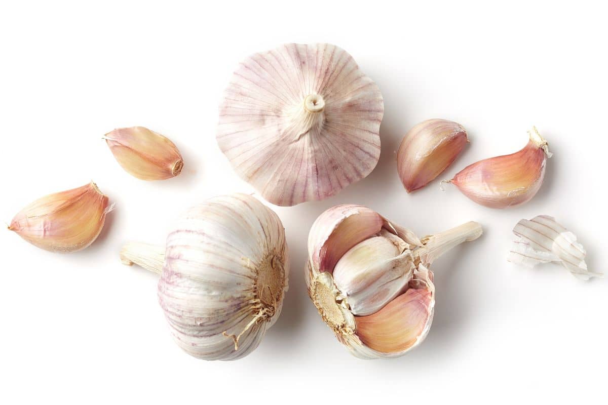 Metechi garlic on an isolated white background.