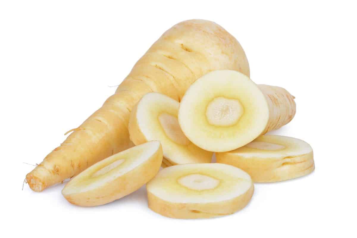 Parsnips on an isolated white background.