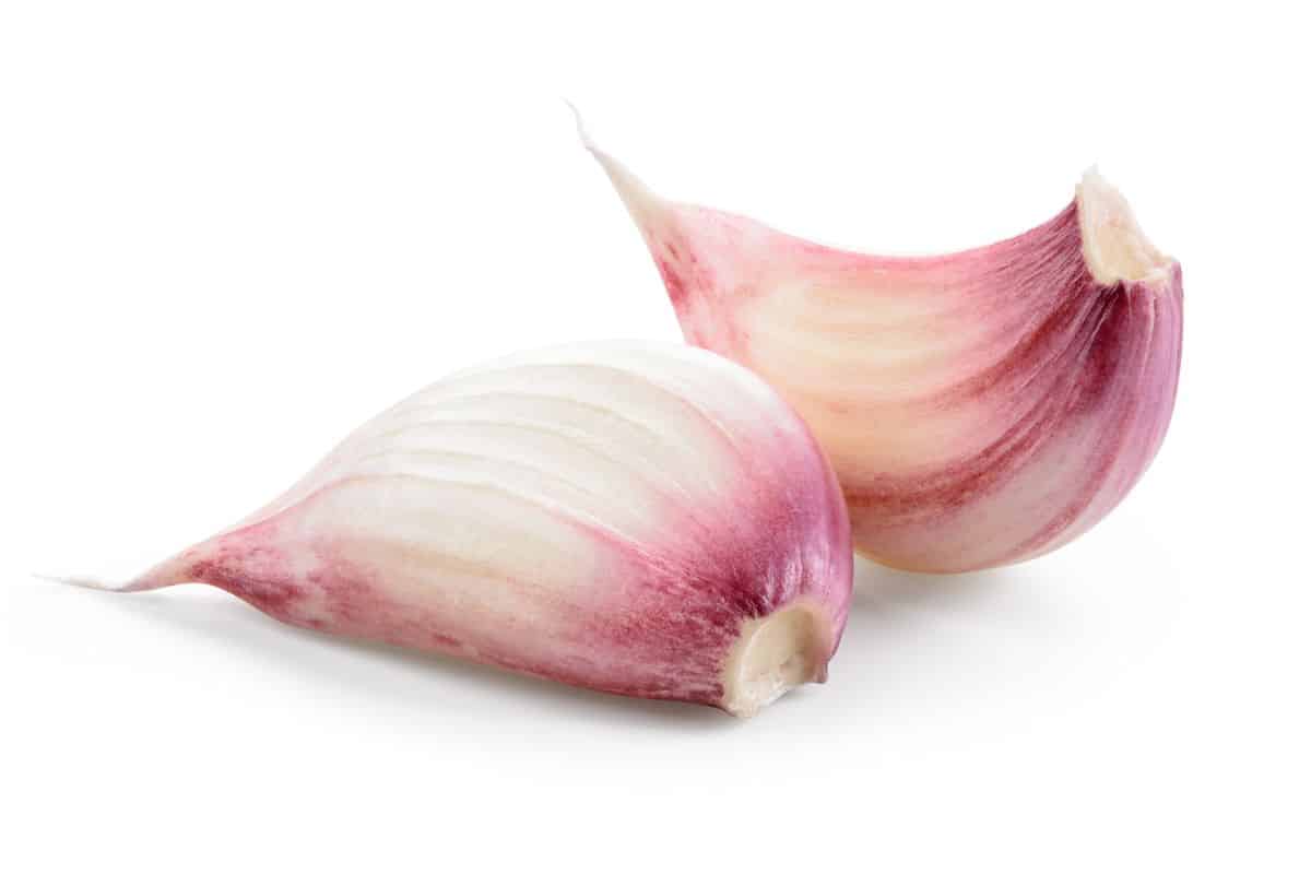 Persian star garlic cloves on an isolated white background.
