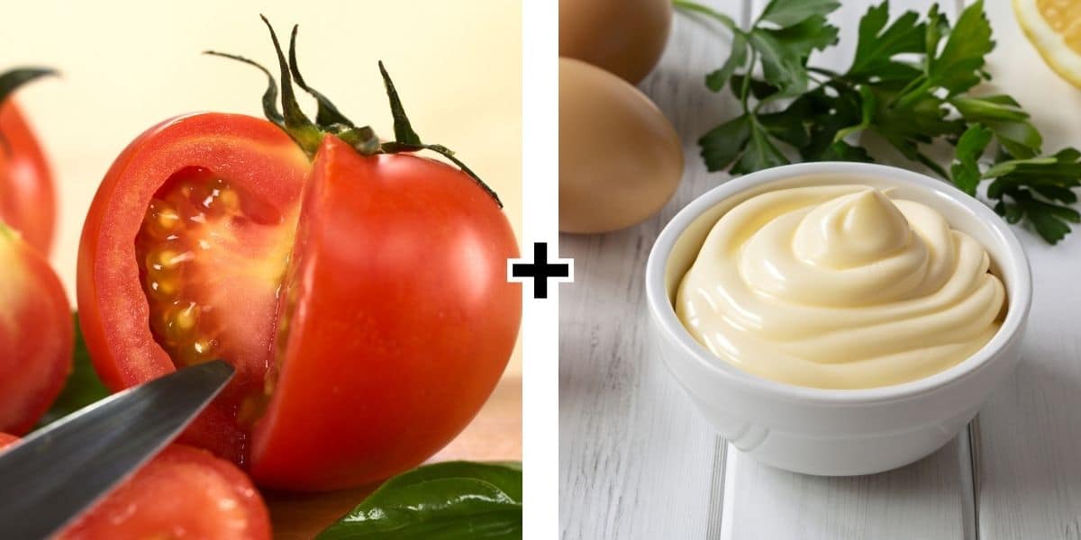 Tomatoes and mayo.