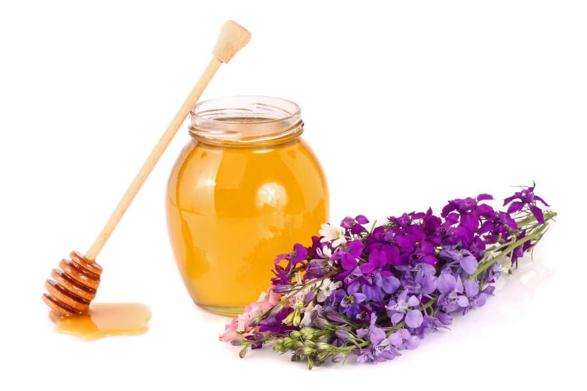wildflower honey in a jar next to wildflowers on an isolated white background.