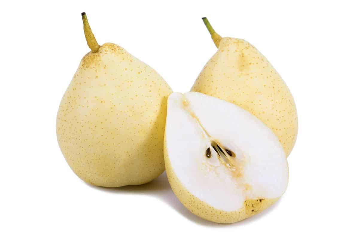 Yali pears on an isolated white background.
