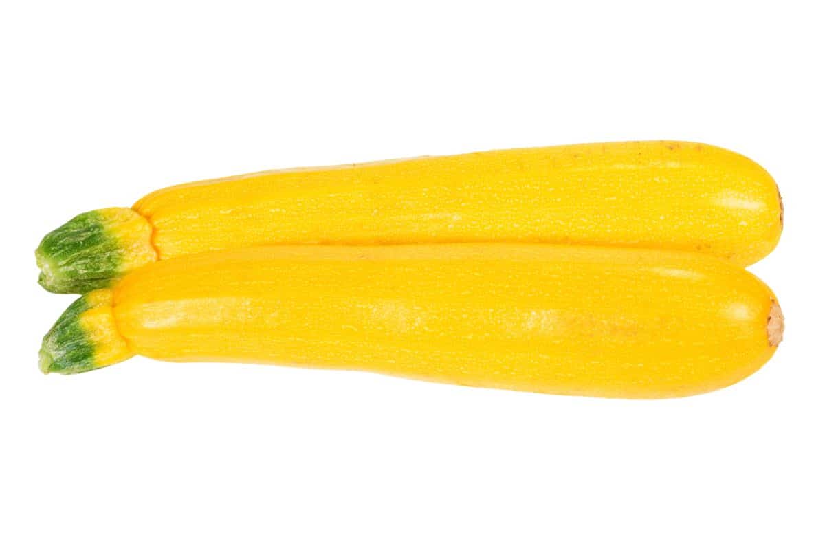 Yellow straightneck squash on a white background.