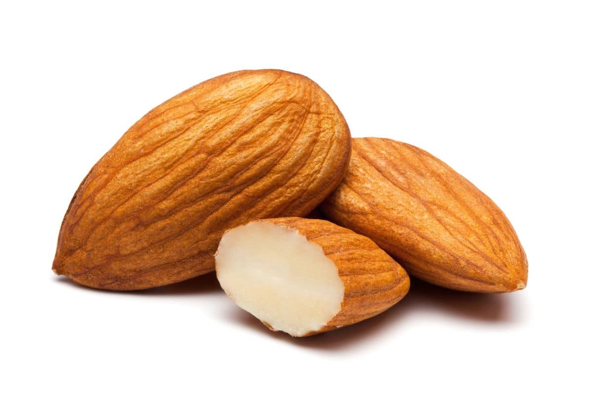 All in one almond on a white background.