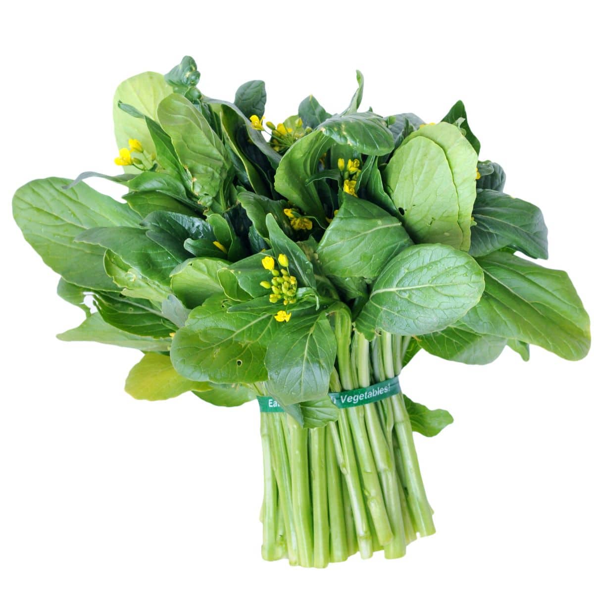 Asian spinach leaves on a white background.