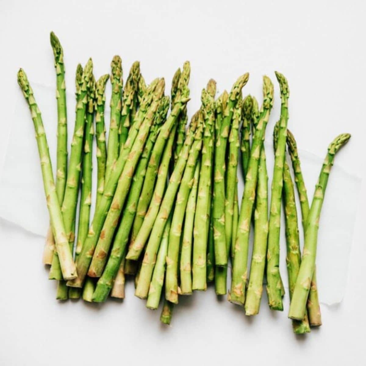 Many asparagus stems on a white background.