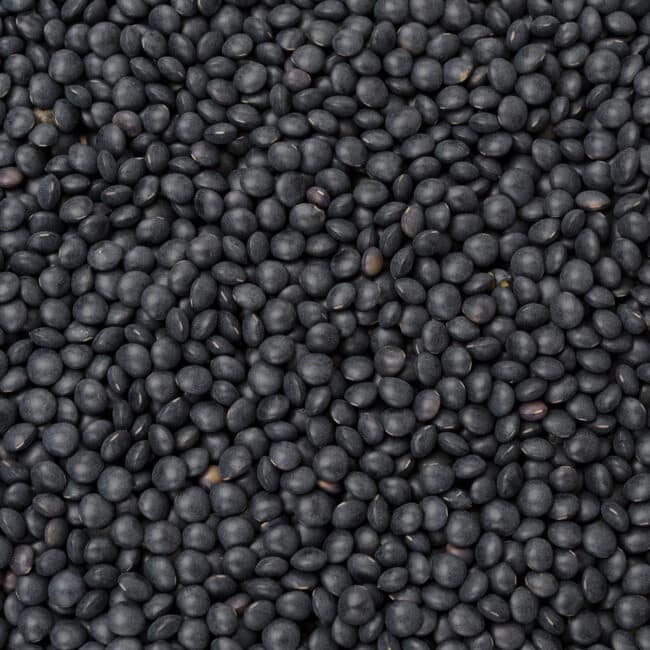 Many black lentils.
