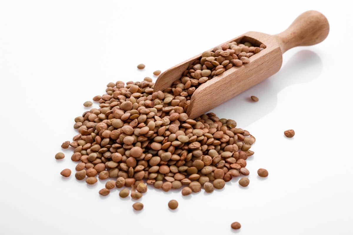 Brown lentils on a white background.