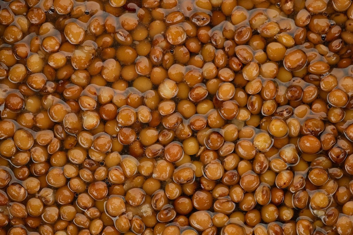 Many canned lentils.