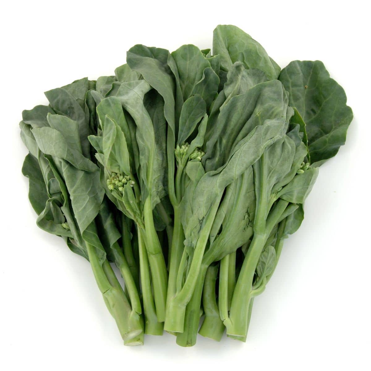 Chinese broccoli on a white background.