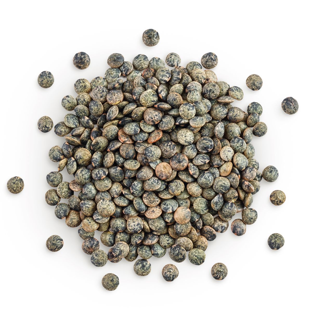 French lentils on a white background.