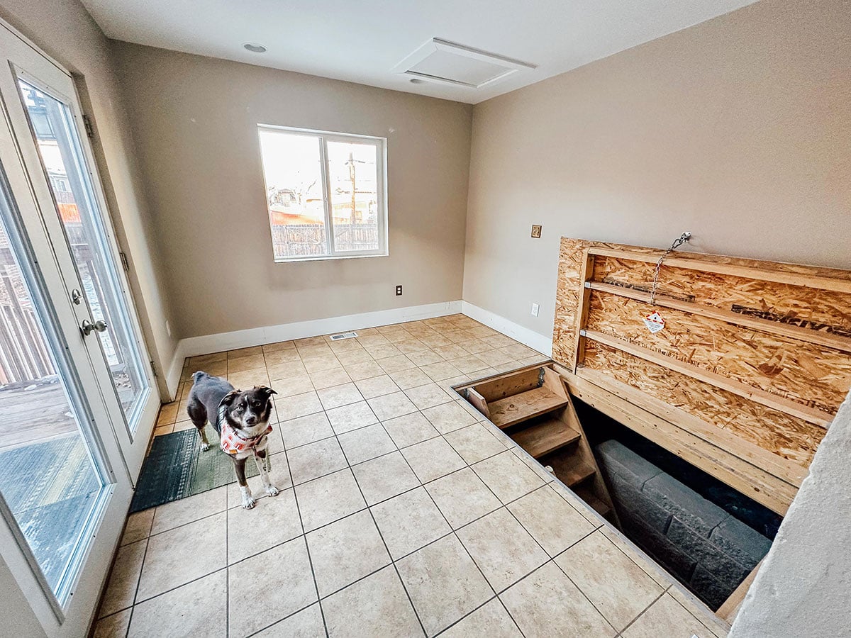 A dog stands in a tiled room with a window and glass door; an open hatch reveals stairs leading to a lower level.