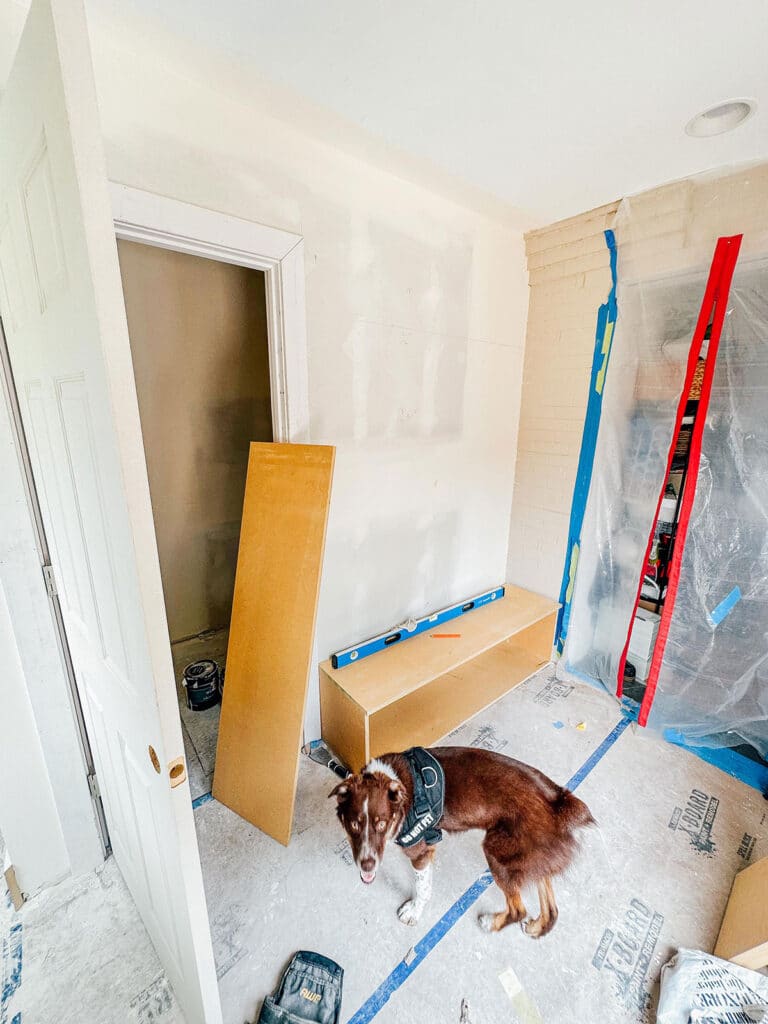 A brown dog wearing a harness stands in a small room under renovation, with tools, construction materials, and protective coverings visible.