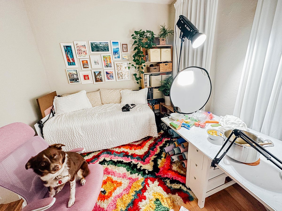 A small, colorful craft room with a daybed, wall art, organized shelves, a desk with craft supplies, and a small dog sitting on a pink chair.