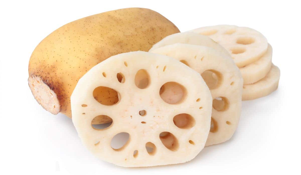 Lotus root on a white background.