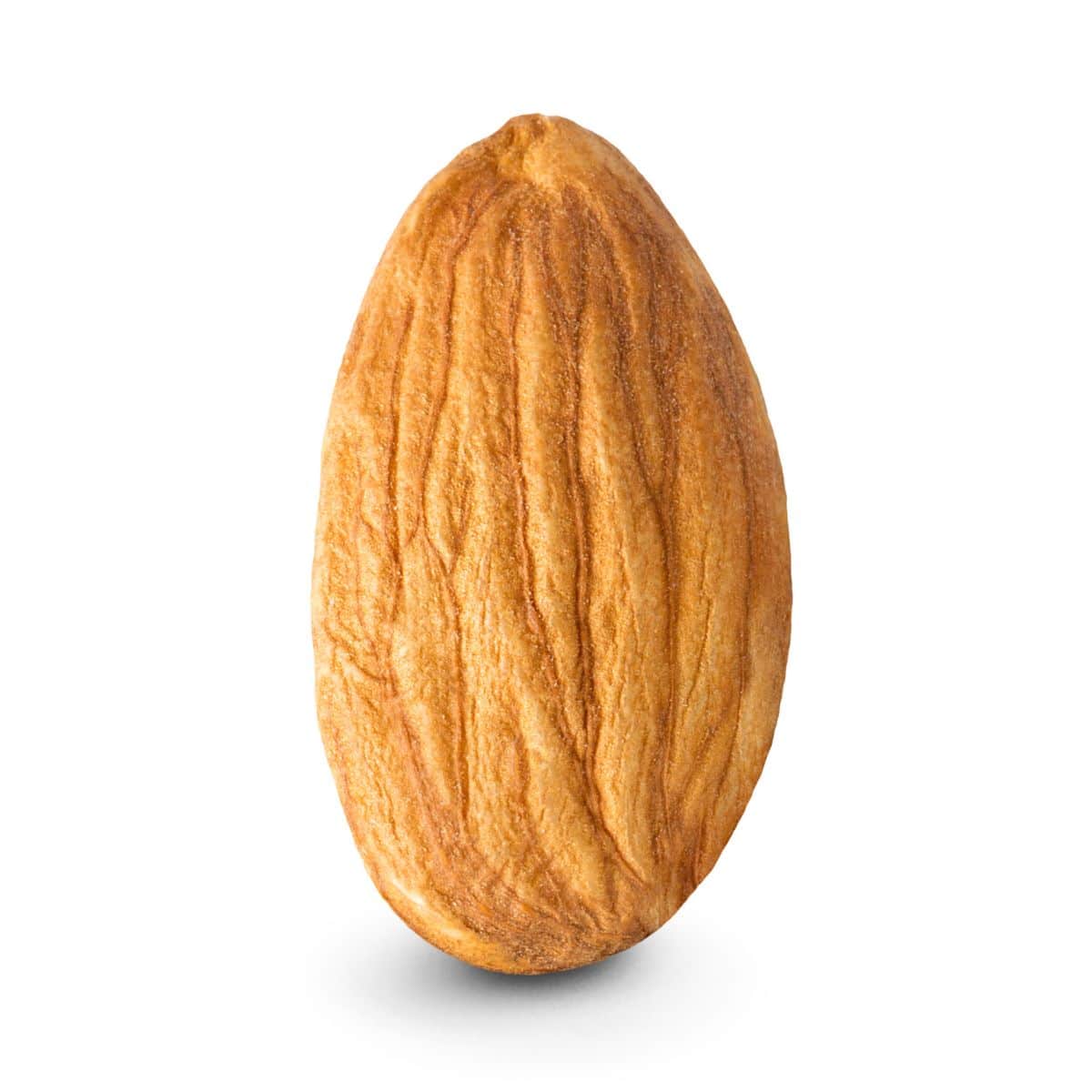 A single nonpareil almond on a white background.