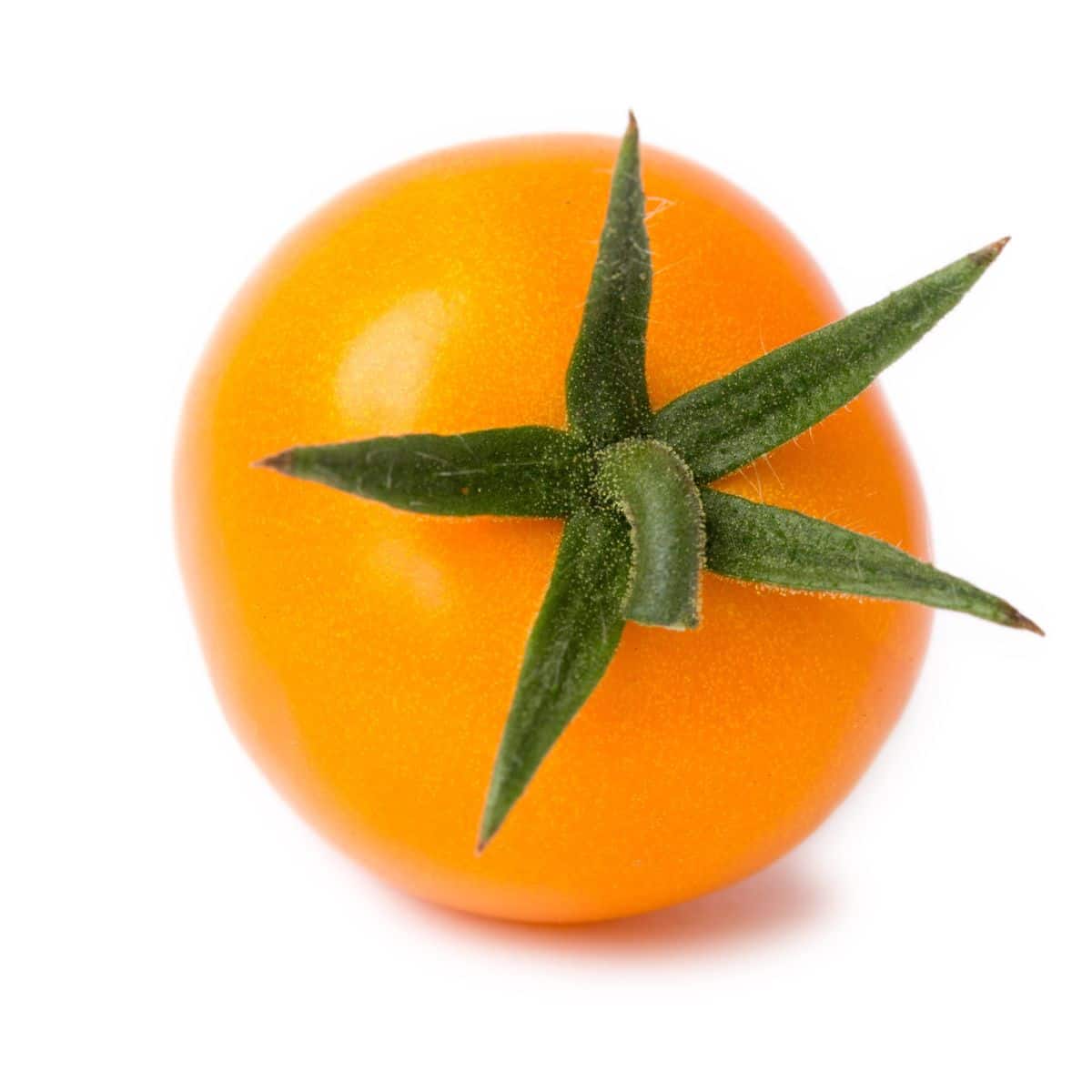 Orange cherry tomato on an isolated white background.