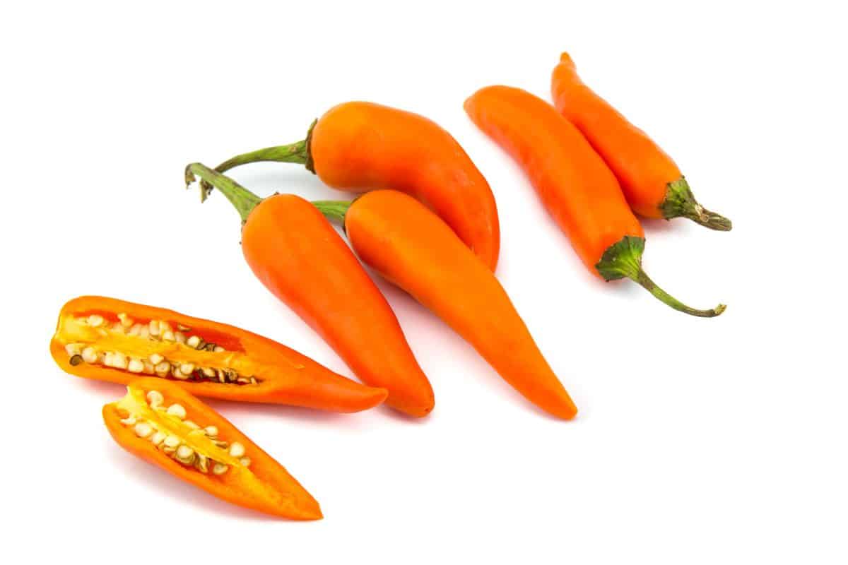 Orange thai peppers on an isolated white background.
