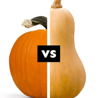 Collage with a pumpkin vs a squash.