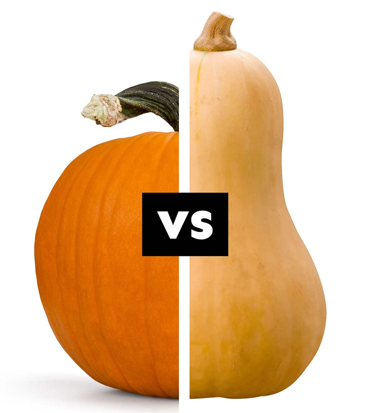 Collage with a pumpkin vs a squash.
