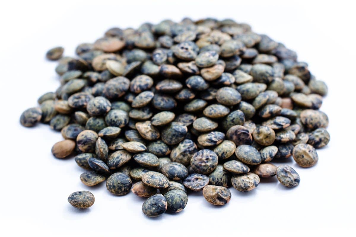 Puy lentils on a white background.